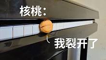 你管这玩意叫胡桃夹子？？？