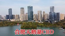 实拍合肥天鹅湖CBD，高楼大厦林立，太繁华了