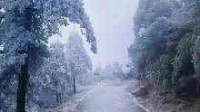 冻得手机都拿不稳了，不须此行！#徒步 #雾凇#厦门户外#福建美好推荐官 #厦门徒步客 #周边游