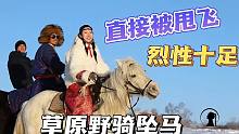草原野骑坠马3连摔：外地人感受蒙古马下马威，女汉子直接被甩飞