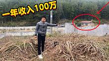 江西大山脚下居住着唯一一户人家，一年收入100万，难怪不愿搬离