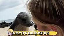 我啥时候能去岛上看看
#海狮 #可爱 #涨见识 