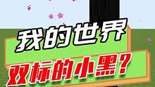 我的世界：猪灵只看金锭不看路？双标的小黑只对玩家生气