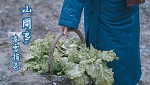 【山间事】春日飞雪时，摘些白菜备食。