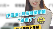 #比亚迪 1月系新能源销量“杀疯了”#汽车 #新车