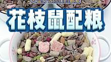 超解压的花枝鼠配粮，食堂阿姨手抖打大锅饭#沉浸式 #治愈 #解压 #助眠 #宠物 #养鼠日常分享 #