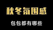 秋冬#氛围感包包都有谁？哪只包能荣登第一宝座呢？#包包推荐  #包包种草 