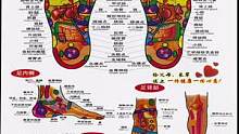 足部反射区图，脚是人体的第二心脏，大家好好爱护，
