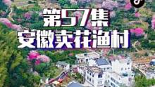 第57集 | 这个只卖花不卖鱼的村子，四面环山，满山坡的梅花，空气清新，暗香浮动，简直就是世外桃源，
