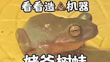 #姥爷树蛙 #神奇动物 #潘大庆的爬宠日记 俺家这个太能拉，吃得多拉的也多，养爬宠的路上与屎同行哈哈