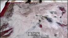 洗地毯YYDS