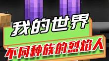 我的世界：玩家意外发现不同种族的烈焰人，还能给它们换皮肤？