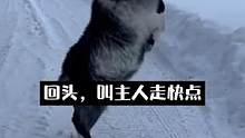 暖羊羊把好地方分享给主人#羊羊 