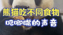 熊猫吃不同食物吧唧嘴的声音