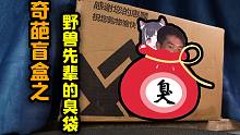 淘宝买到的野兽先辈的恶臭盲盒？里面究竟有啥？！