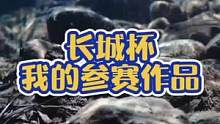 2021长城杯原生造景大赛，我的参赛作品已经入围