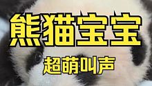 熊猫宝宝超萌叫声