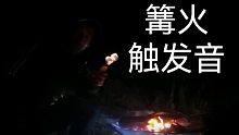 『鑫哥助眠』在黑夜刺骨冷风中架起篝火烤棉花糖，听火焰燃烧的触发音!『单声极致版』