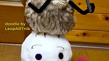专门给小动物涂鸦手脚的大神，这次盯上了一只猫头鹰。这动作和神态恰到好处的配合，太传神啦