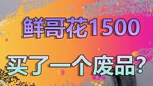 花50W造个轮胎，看完告诉我问题到底在哪？#dou是知识点 #兰博基尼 #轮胎鱼缸 