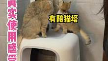 猫塔自动猫砂盆8个月的使用感受到底如何？#爱上有陪猫塔 #智能家居 #智能猫砂盆