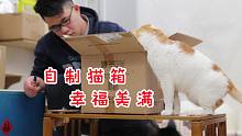 铲屎官自制的东西送给猫咪，都没法代替它吗？