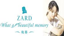 【ZARD 31周年LIVE】What a beautiful memory 〜軌跡〜 东京场202