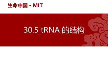【分子生物学】30.5 tRNA的结构