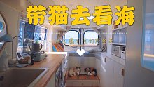 三只猫咪住在房车一年，如何解决它们的”味道”？