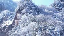 一个没有春花只有雪花的春天#秦岭青峰峡 #春雪 