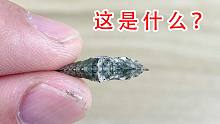这到底是什么东西？我养的毛毛虫居然变成了这个样子！
