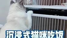 羊妈妈准备了啊咩最喜欢的大嘴巴子等它吃饭#内容过于真实 #猫 #猫咪的迷惑行为 #吃饭 #宠物 #沉