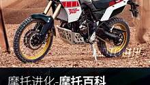 雅马哈硬派拉力tenere700#摩托#雅马哈#机车#拉力 