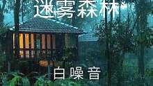【白噪音】迷雾森林——舒服白噪音氛围声，在迷雾森林中放松下雨，你可以听到舒服的雷雨声和雨声。这段关于