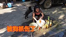 活干一半被邻居狗抓伤，花388元打狂犬疫苗，我该要回这比钱吗？