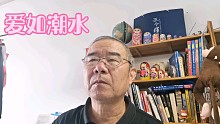 《爱如潮水》复音口琴e调演奏