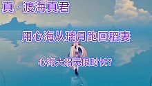 用心海从璃月跑回稻妻！真·渡海真君 如履平地！