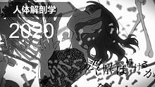 【解剖】人体解剖学：神经系统解剖学