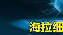 海拉细胞，人类发现的首个“不死细胞”，至今已分裂出5000万吨#海拉细胞 #涨知识 