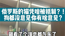俄罗斯的猫凭啥被抵制！狗都没意见你有啥意见？