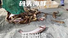 天暖和，码头上的海鲜丰富了，鱼也多了，今天做的海葵翻车了