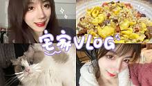 宅家vlog|有猫猫陪伴治愈的一天~