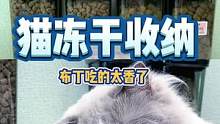 听说没看够，再来一期猫咪冻干收纳，还有吃播哟#收纳 #解压 #猫 #治愈 #助眠 #声控 #猫咪 #