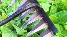 锰钢锄头除草真不错，用起来轻巧速度还快 #高性能实用工具 