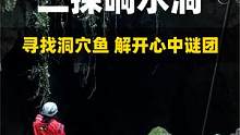二探响水洞，寻找洞穴鱼解开心中谜团，探索到底才知道隐藏的秘密#洞穴探险  #溶洞 #探索未知 