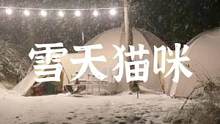 下雪天和猫咪一起露营#露营报告 #户外 #野营 #露营 