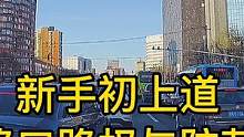 《智驾驶手册》路口路权与防范 #新手初上道