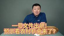 一号文件出炉！预示着农村机会来了？