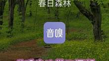 白噪音|鸟声|哄睡|冥想|专注学习|app
春花盛开，山鸟、燕雀、知更鸟和其他鸟儿在树林里歌唱，让我
