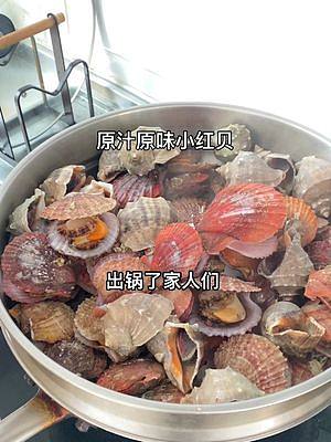 原汁原味的小红贝，家人们不要错过呀！#扇贝 #海鲜 #新农人计划